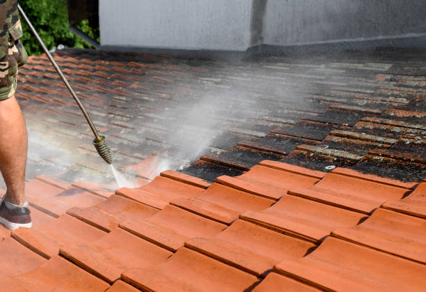 Roof Power Washing Services in Baldwin, LA