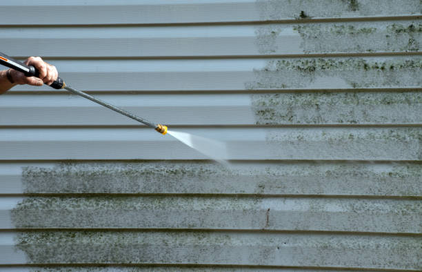 Best Pressure Washing Near Me  in Baldwin, LA