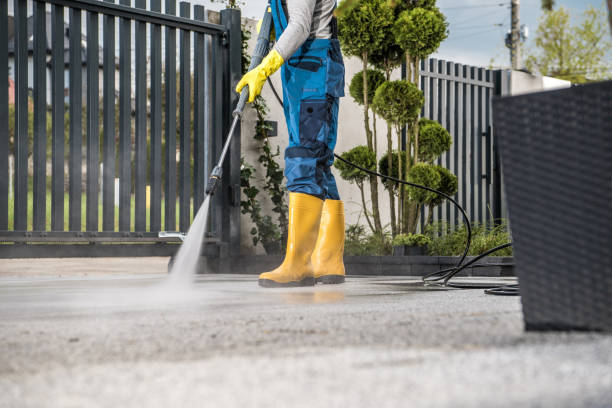 Best Affordable Pressure Washing  in Baldwin, LA